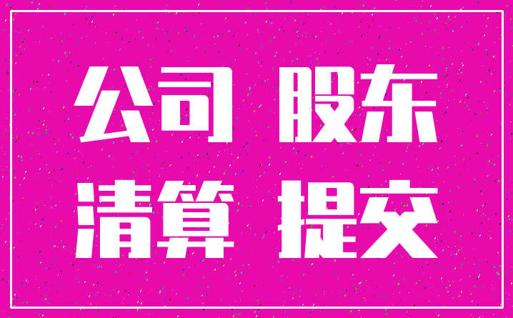 公司 股东_清算 提交